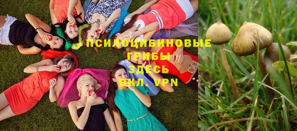 гидропоника Мегион