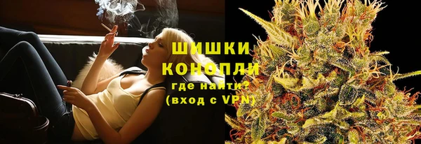 тгк Горно-Алтайск