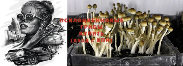 гидра Михайлов