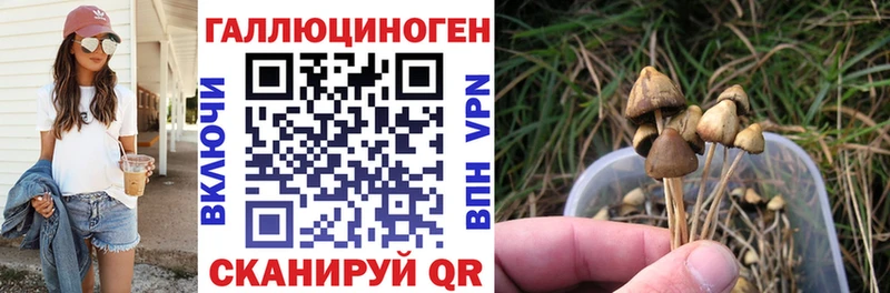Галлюциногенные грибы GOLDEN TEACHER  Кемерово 