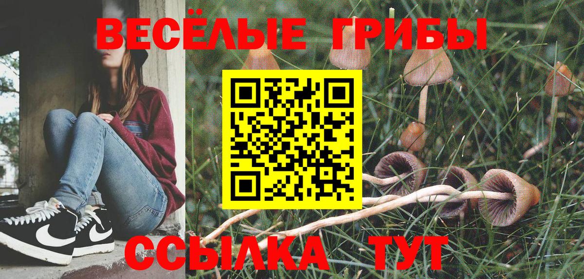 Россия  Галлюциногенные грибы Cubensis  Вход с VPN 